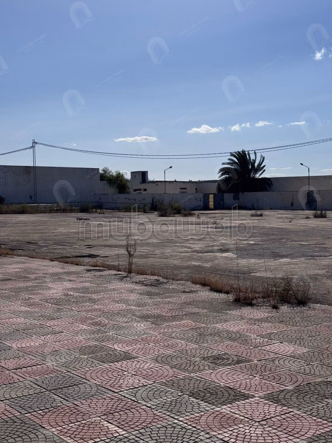 A louer une usine industrielle à El Fejja