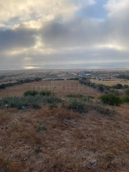 Terrain à vendre à la Skala. Superficie totale de 10000 m²