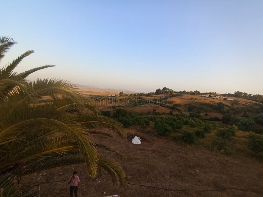 Une ferme avec un projet rentable