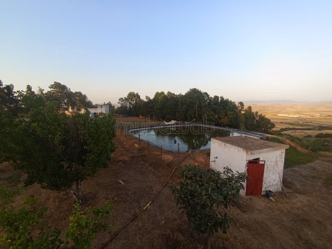 Une ferme avec un projet rentable