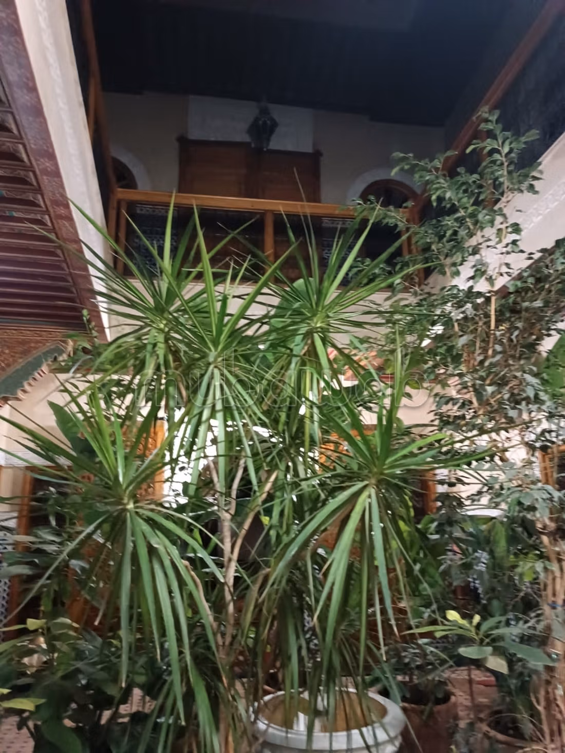 Bellissimo riad in vendita a Derb Dabachi con 6 camere piacevoli