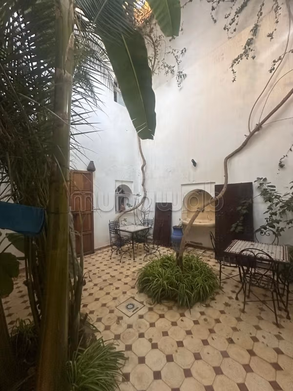 Riad titled with terrace - Sidi Ben Slimane
