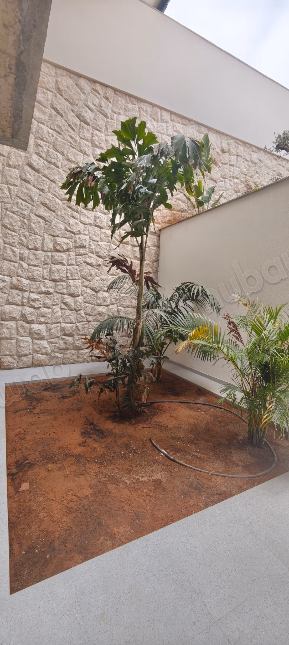 Villa nuova 2026 in affitto - L'Orangeraie di Souissi, Rabat