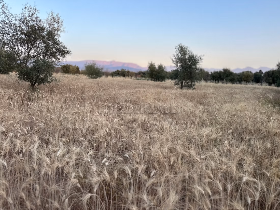 Terrain en vente à Tamazouzte. 
Superficie 9600 m²
