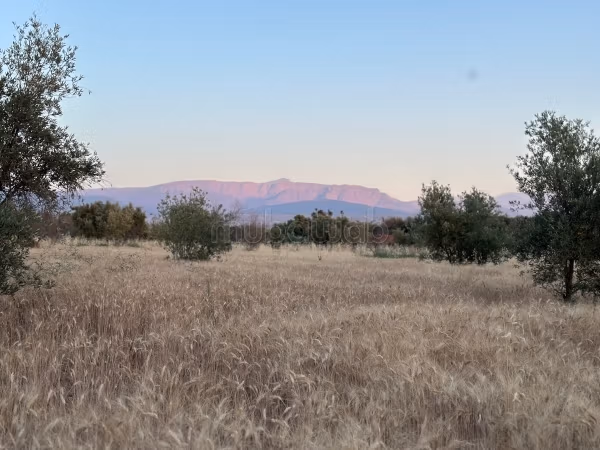 Terrain en vente à Tamazouzte. 
Superficie 9600 m²