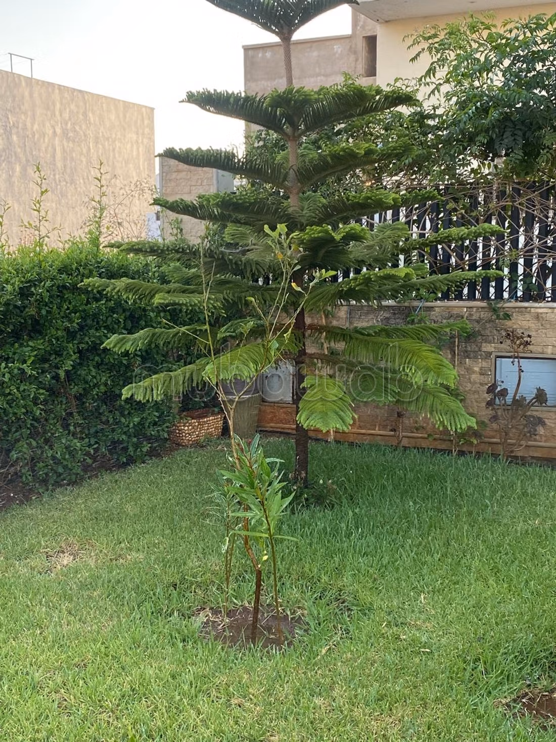 Villa 216 m² d'exception à vendre 3.500. OOO DH
