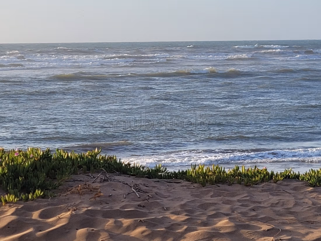 Appartamento ola blanca sidi rahal