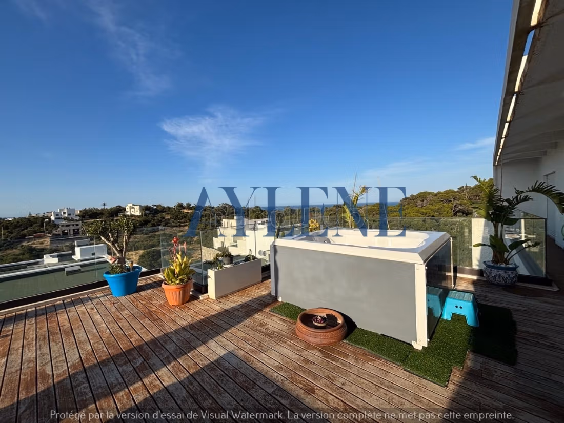 PENTHOUSE S3 in affitto a Gammarth con terrazza