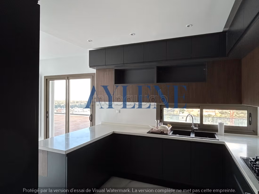 PENTHOUSE S3 in affitto a Gammarth con terrazza