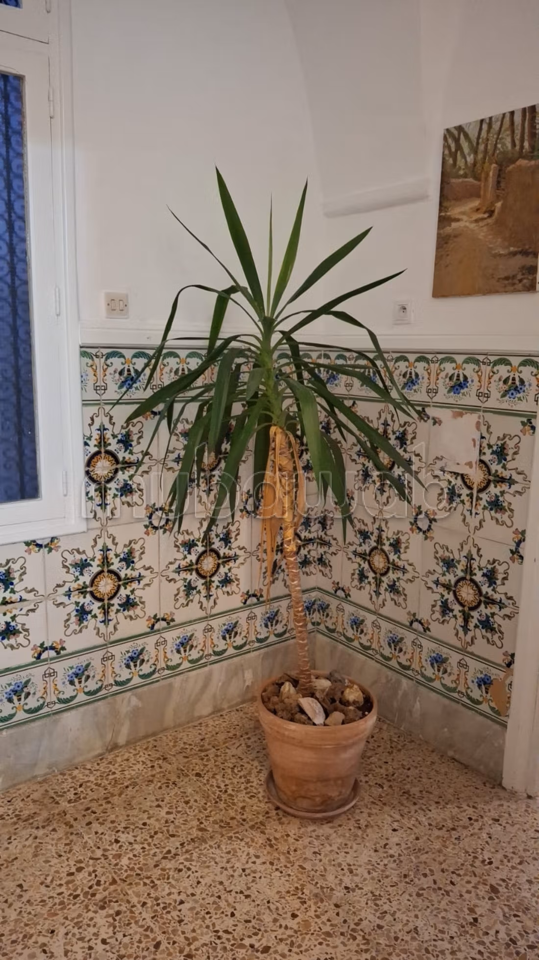 Casa in affitto ad Amilcar. Superficie 150 m². Ben arredato