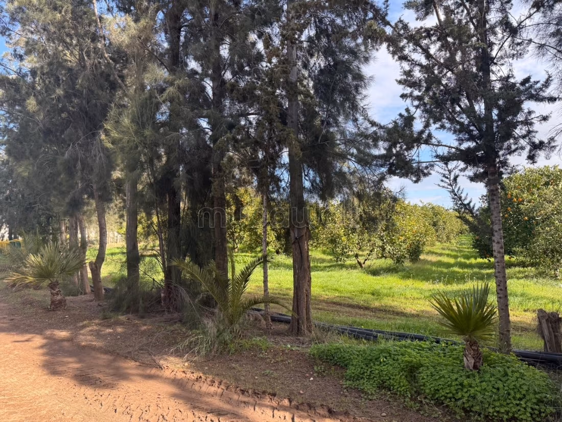 Ferme agricole à vendre 10 hectare à Borj El Amri