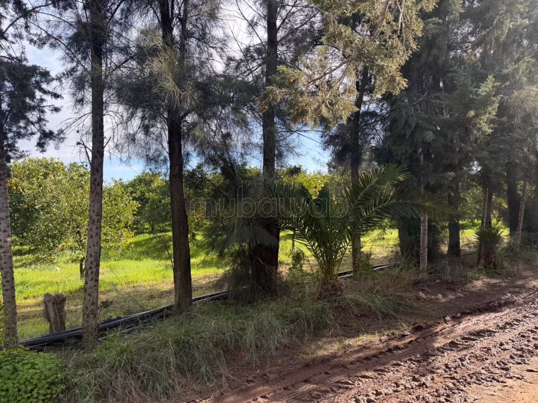 Ferme agricole à vendre 10 hectare à Borj El Amri