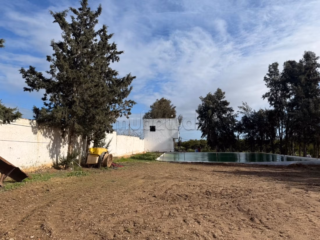Ferme agricole à vendre 10 hectare à Borj El Amri
