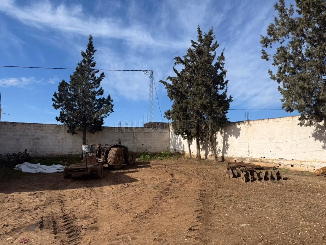 Ferme agricole à vendre 10 hectare à Borj El Amri