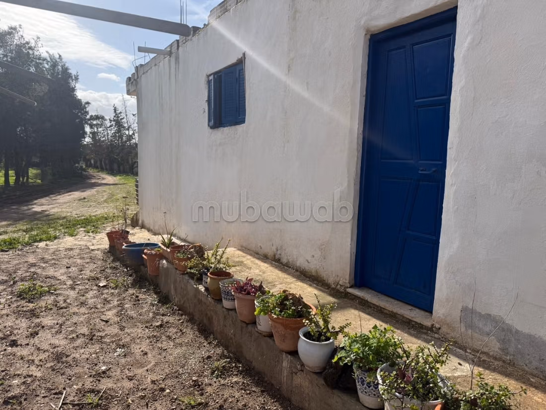 Ferme agricole à vendre 10 hectare à Borj El Amri