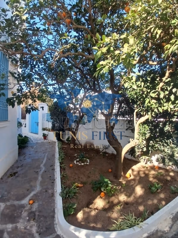 For rent floor of villa S3 in Marsa Corniche²