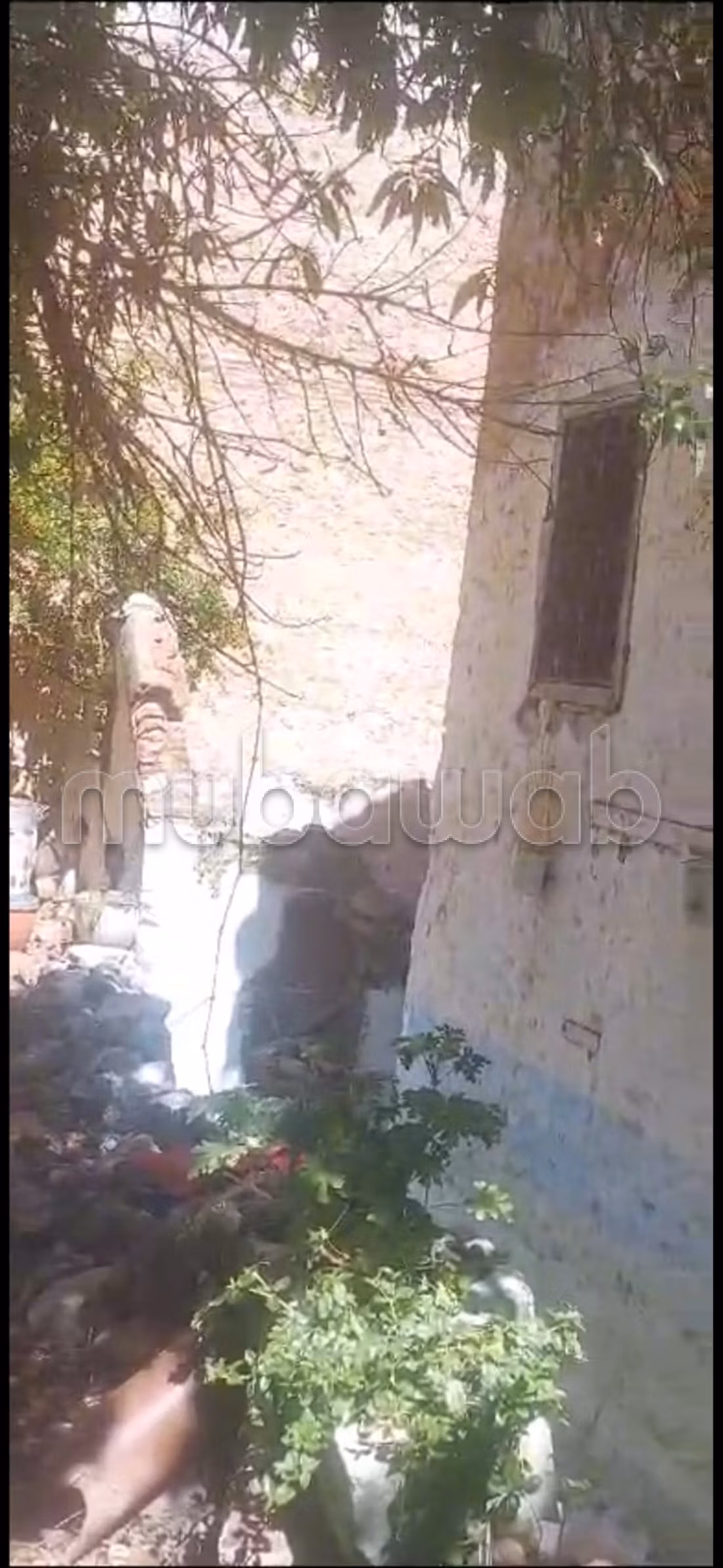 Ryad turistico da ristrutturare