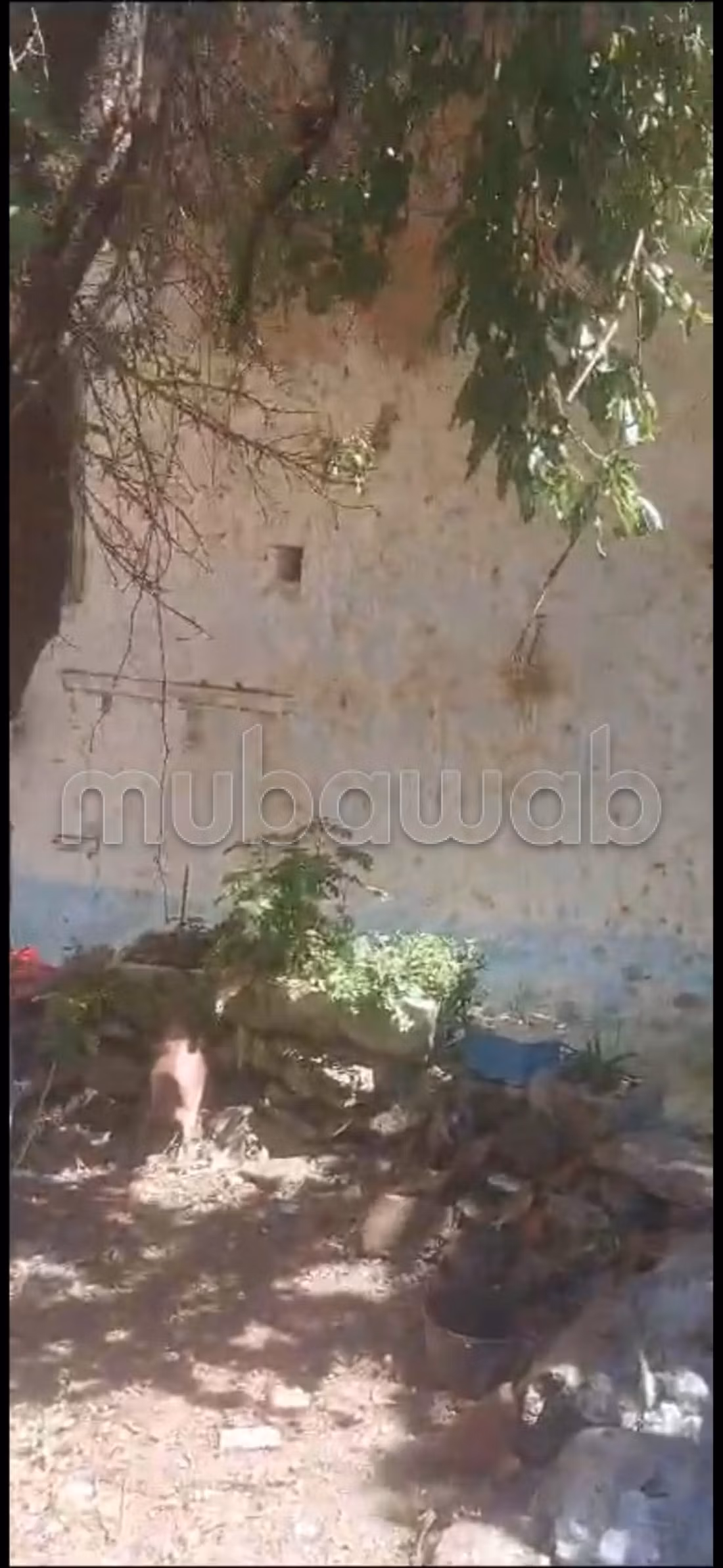 Ryad turistico da ristrutturare