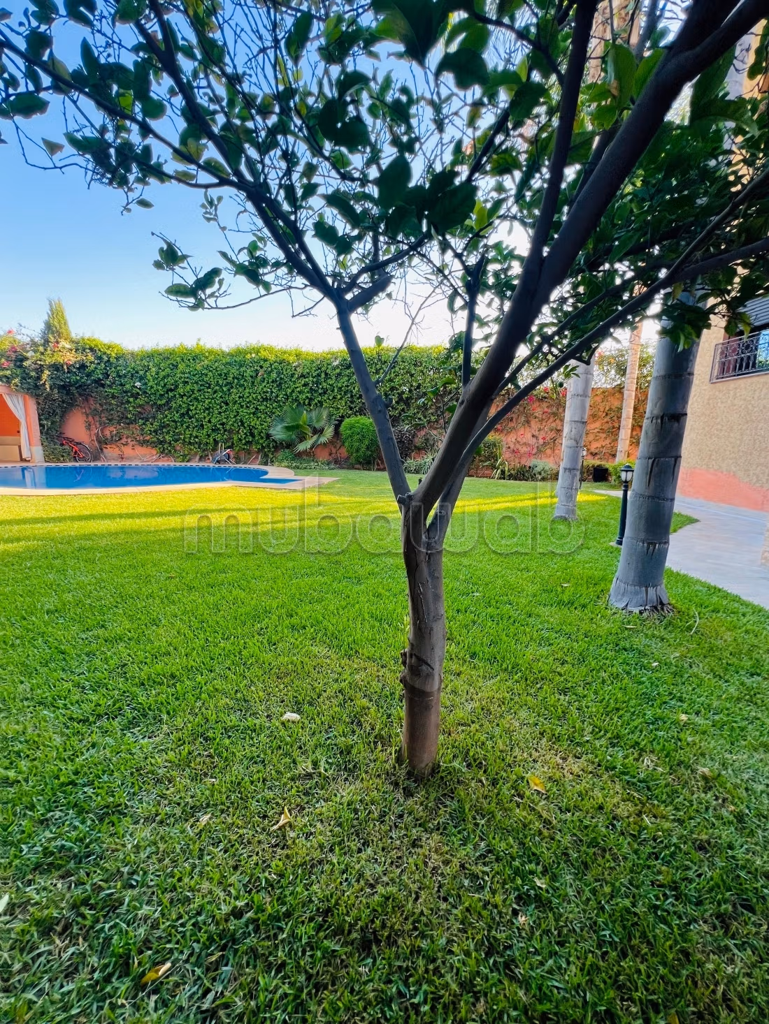 Exceptional opportunity to seize in Marrakech