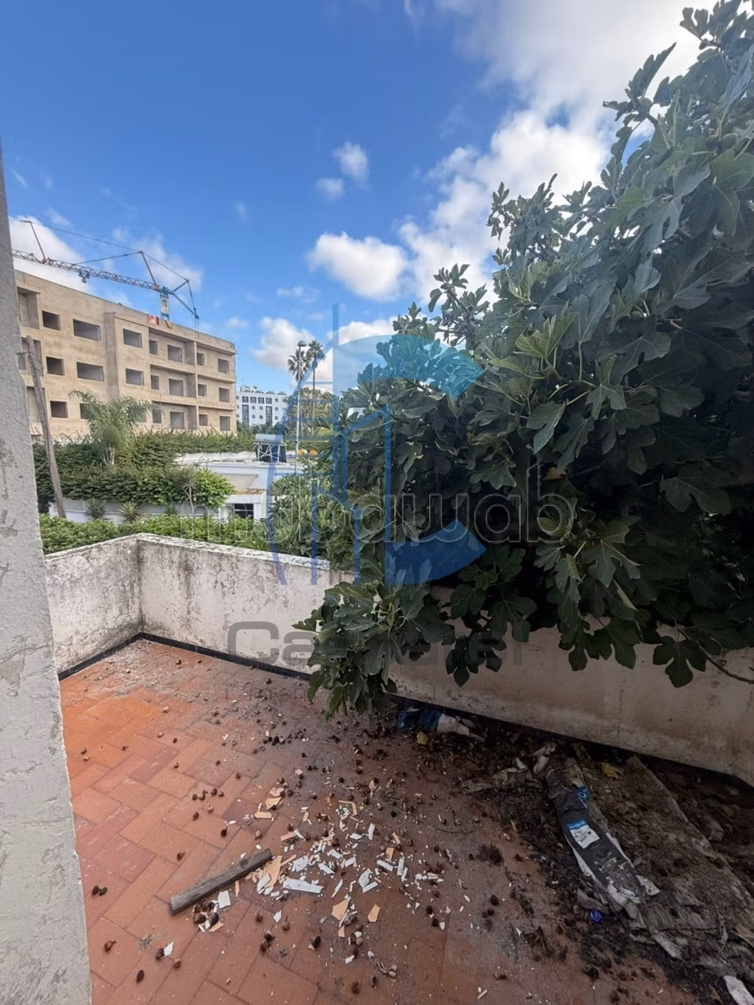 Vente villa à rénover oasis