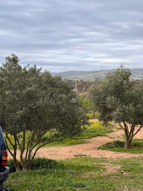 Ferme à vendre, superficie de 6 hectares