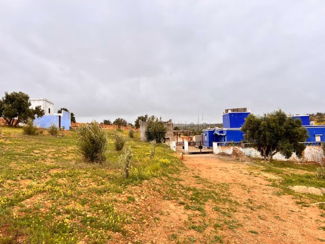 Boerderij te koop, oppervlakte van 3 hectare