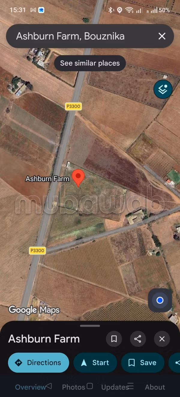 1 hectare met titel dicht bij Bouznika langs de weg p3300