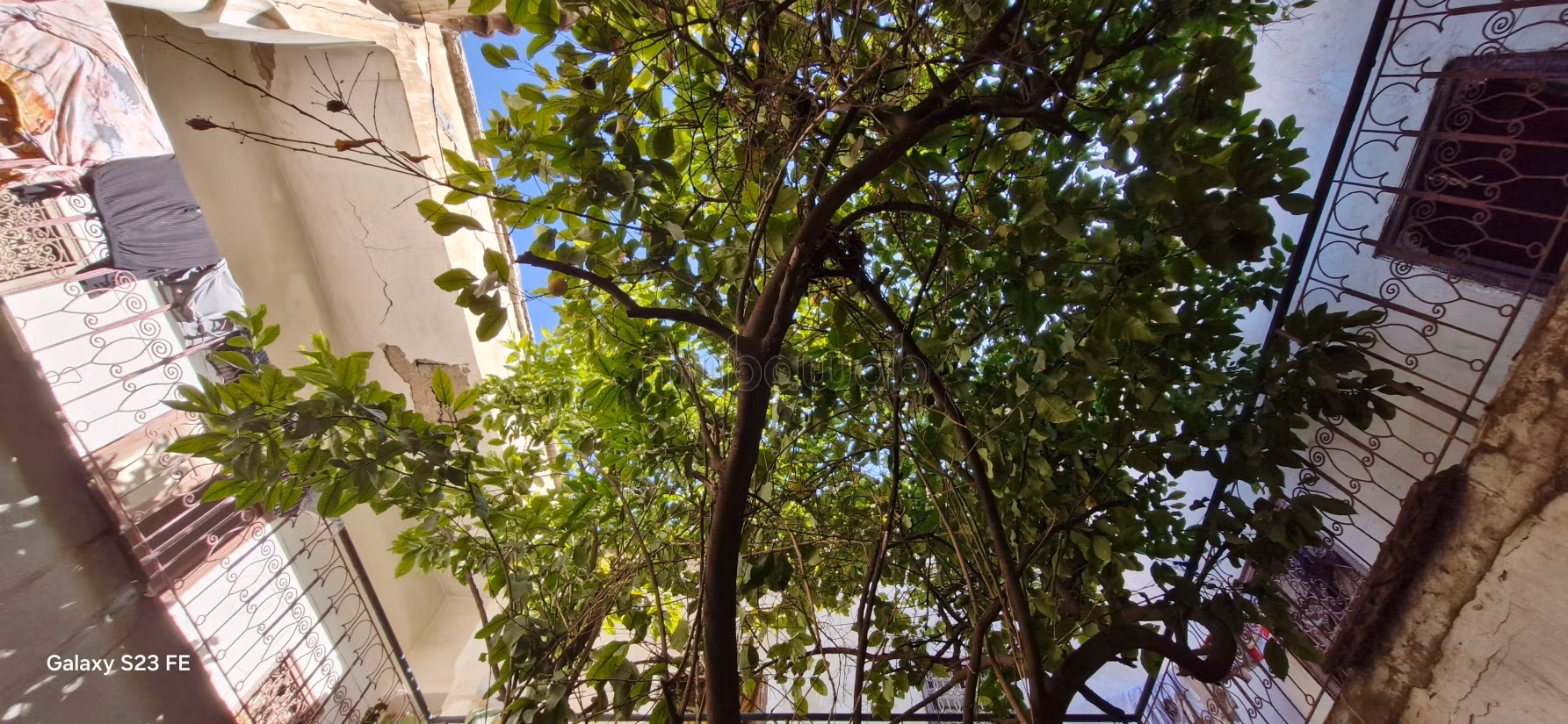 Gran Riad Tradicional de 126 m²