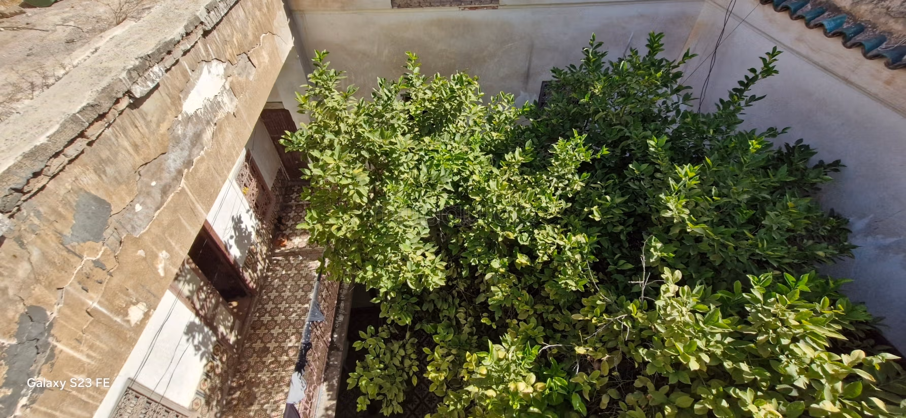 Gran Riad Tradicional de 126 m²