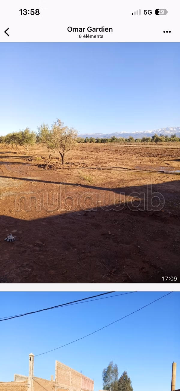 Perceel grond van 1 hectare bouwbaar