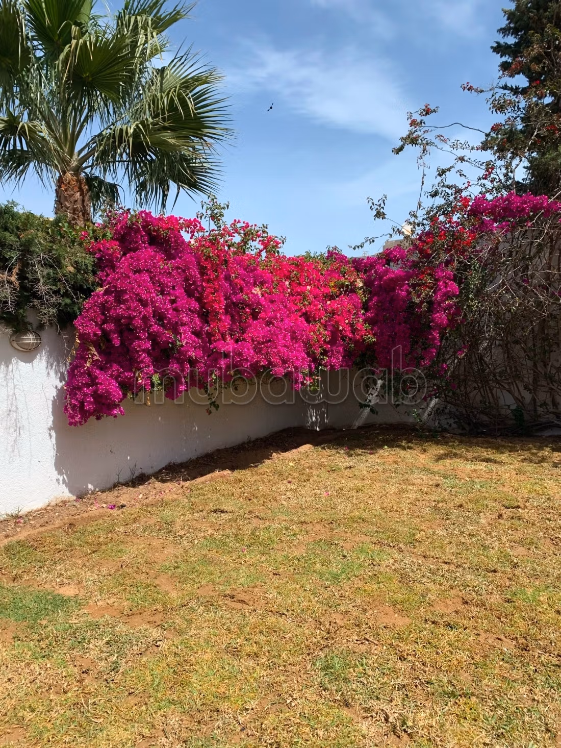For rent a villa in Soukra