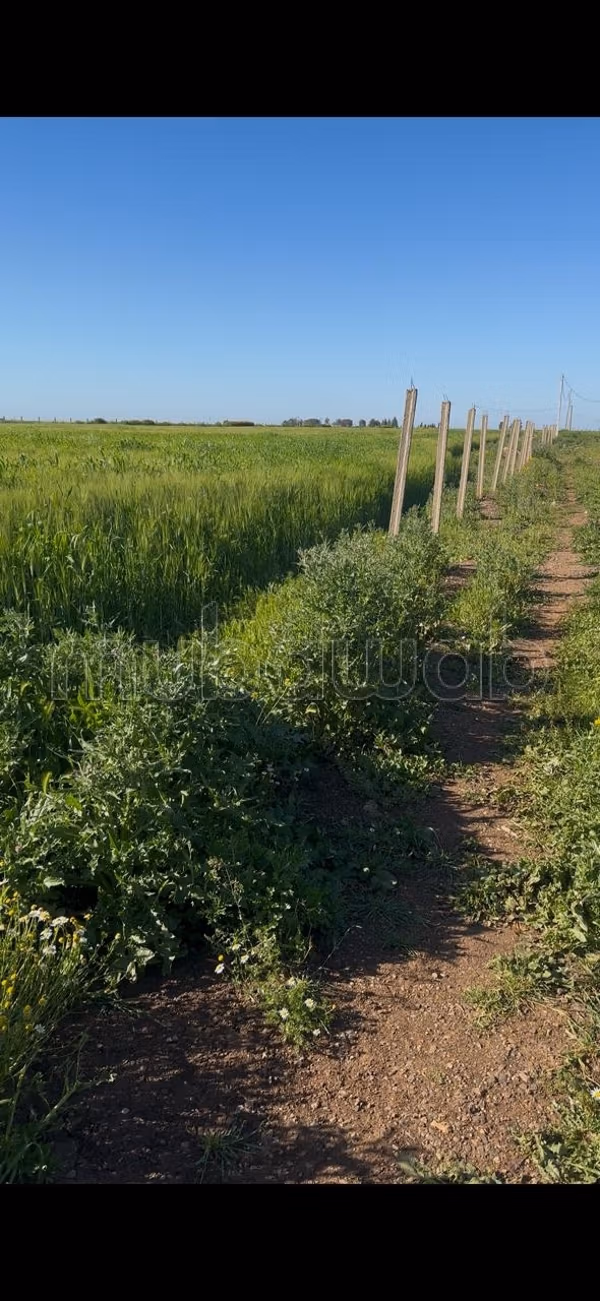 Terrain a vendre