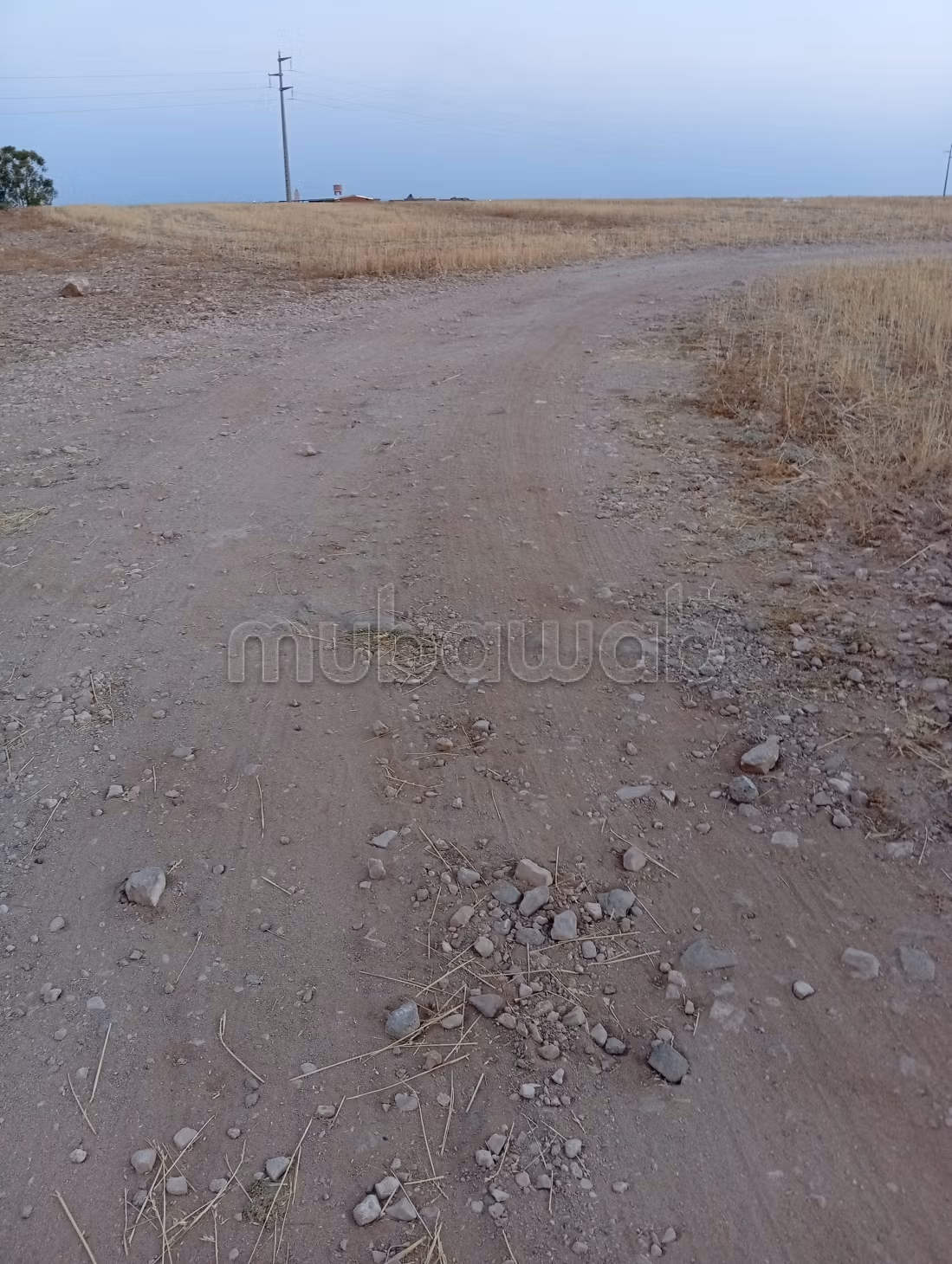 Terrain à vendre à la palmeraie de Sidi Ibrahim. Surface totale 100000 m²