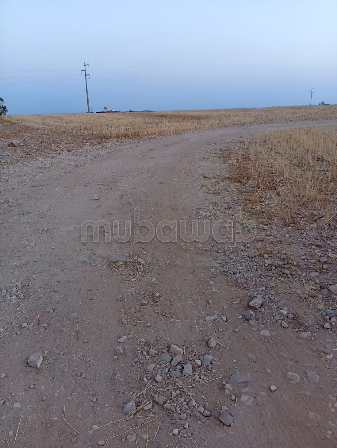 Terrain à vendre à la palmeraie de Sidi Ibrahim. Surface totale 100000 m²