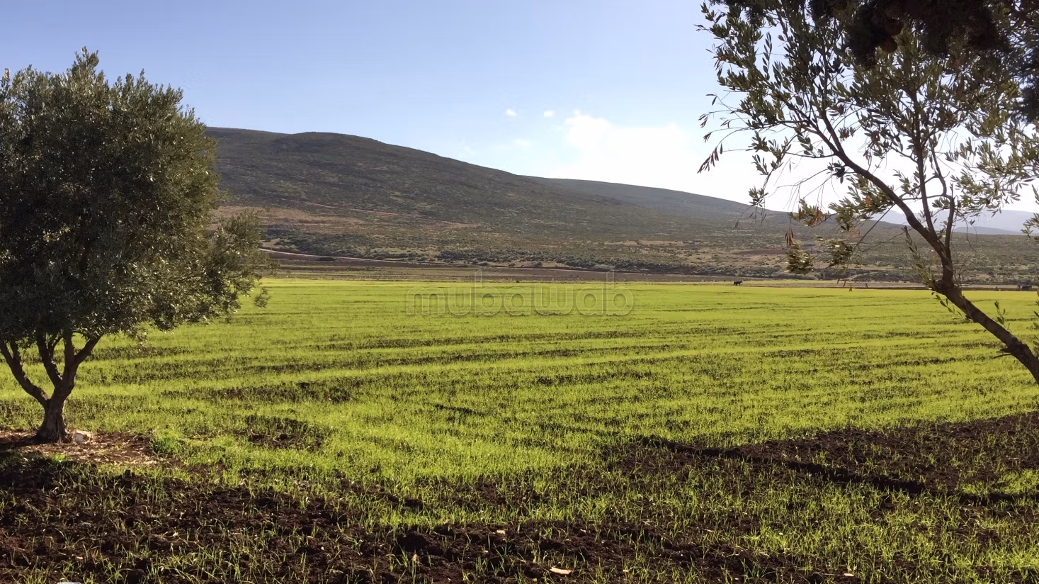 5 ettari titolati con 200 m di facciata sulla strada