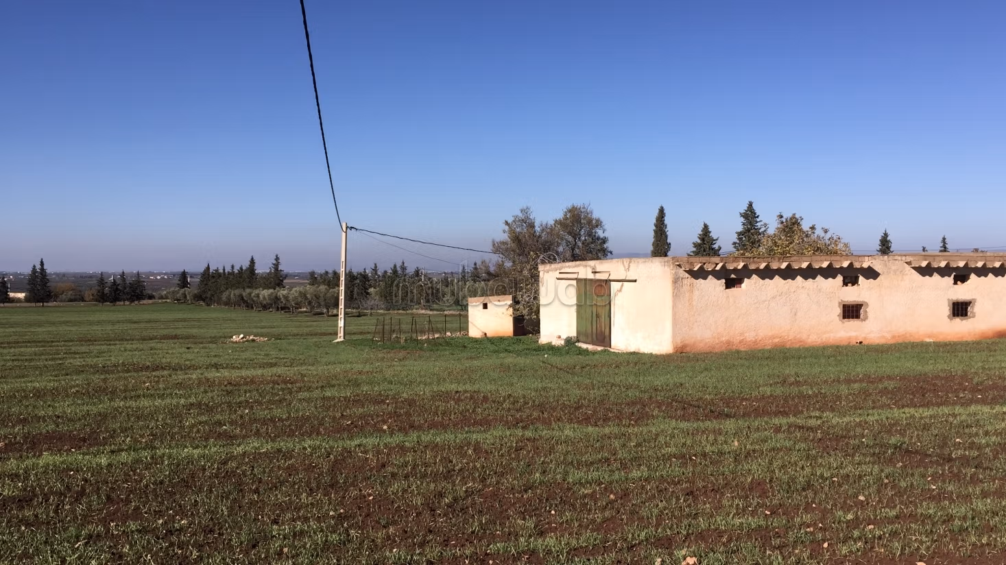 5 ettari titolati con 200 m di facciata sulla strada