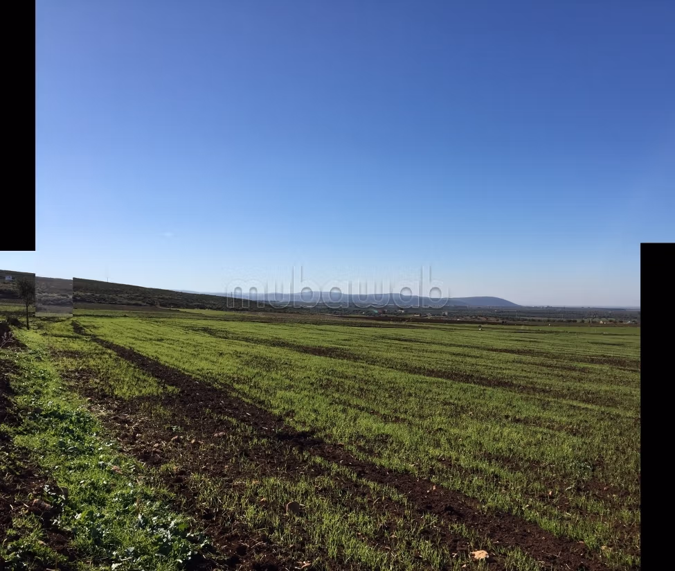 5 ettari titolati con 200 m di facciata sulla strada