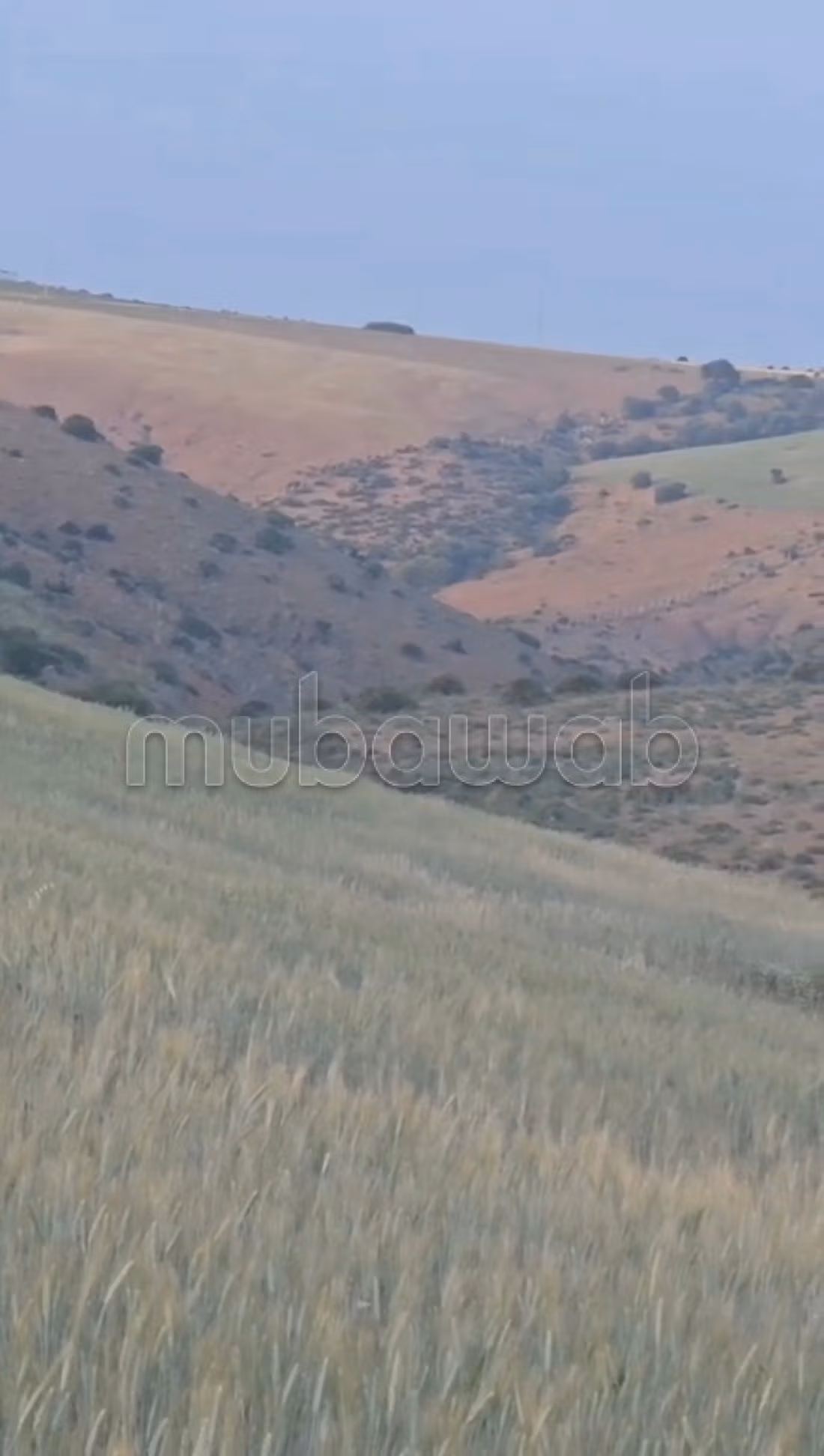 Terrain a vendre aid aouda a 25km de la CGI Rabat
