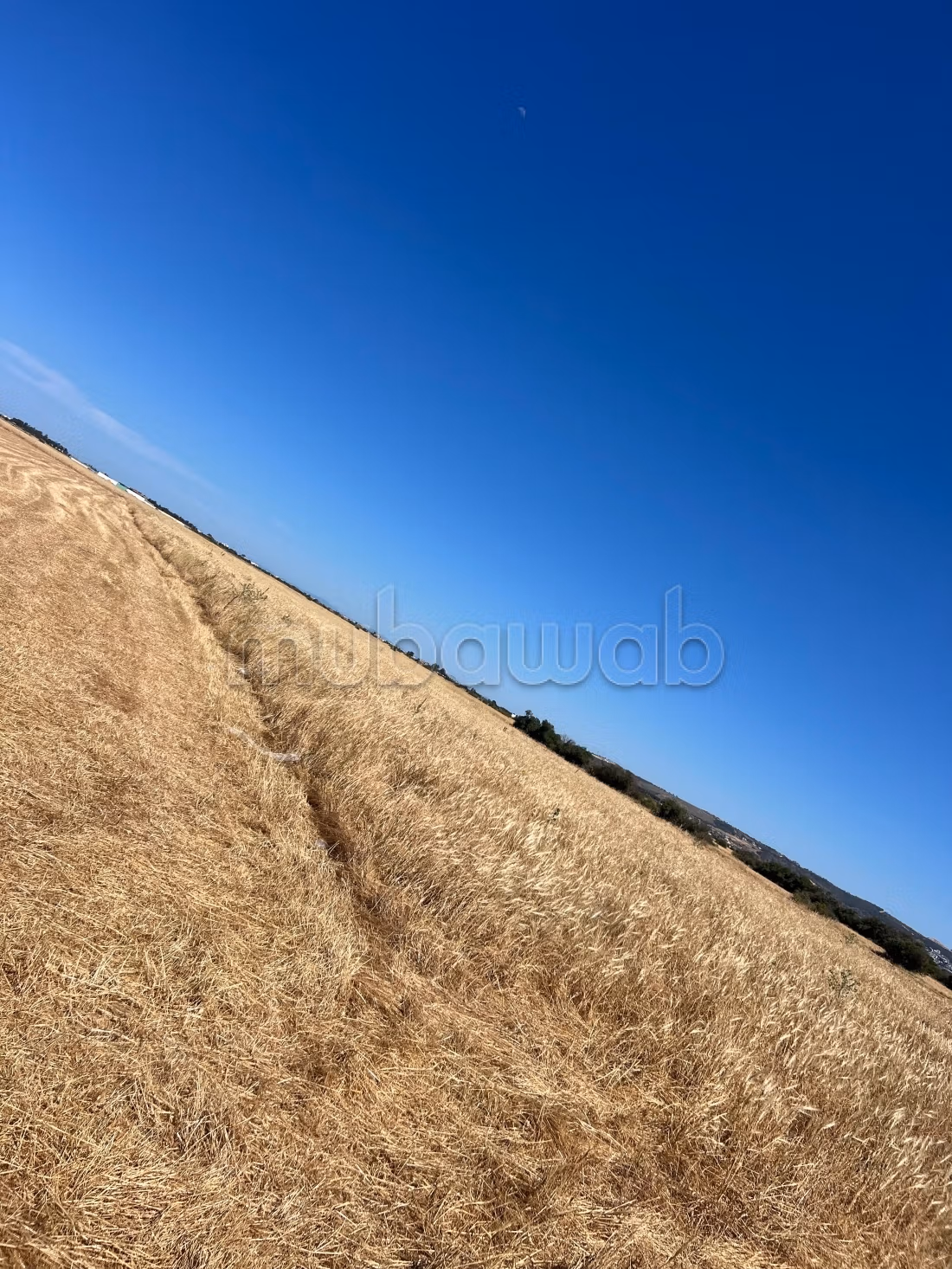 Hectare à vendre 10 minutes route Bizerte