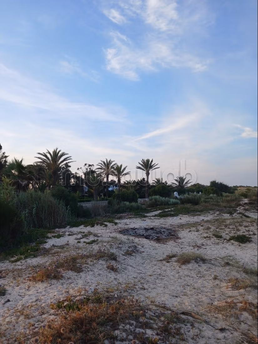 Terrain Pied dans l'eau a vendre a korba 1 hectar