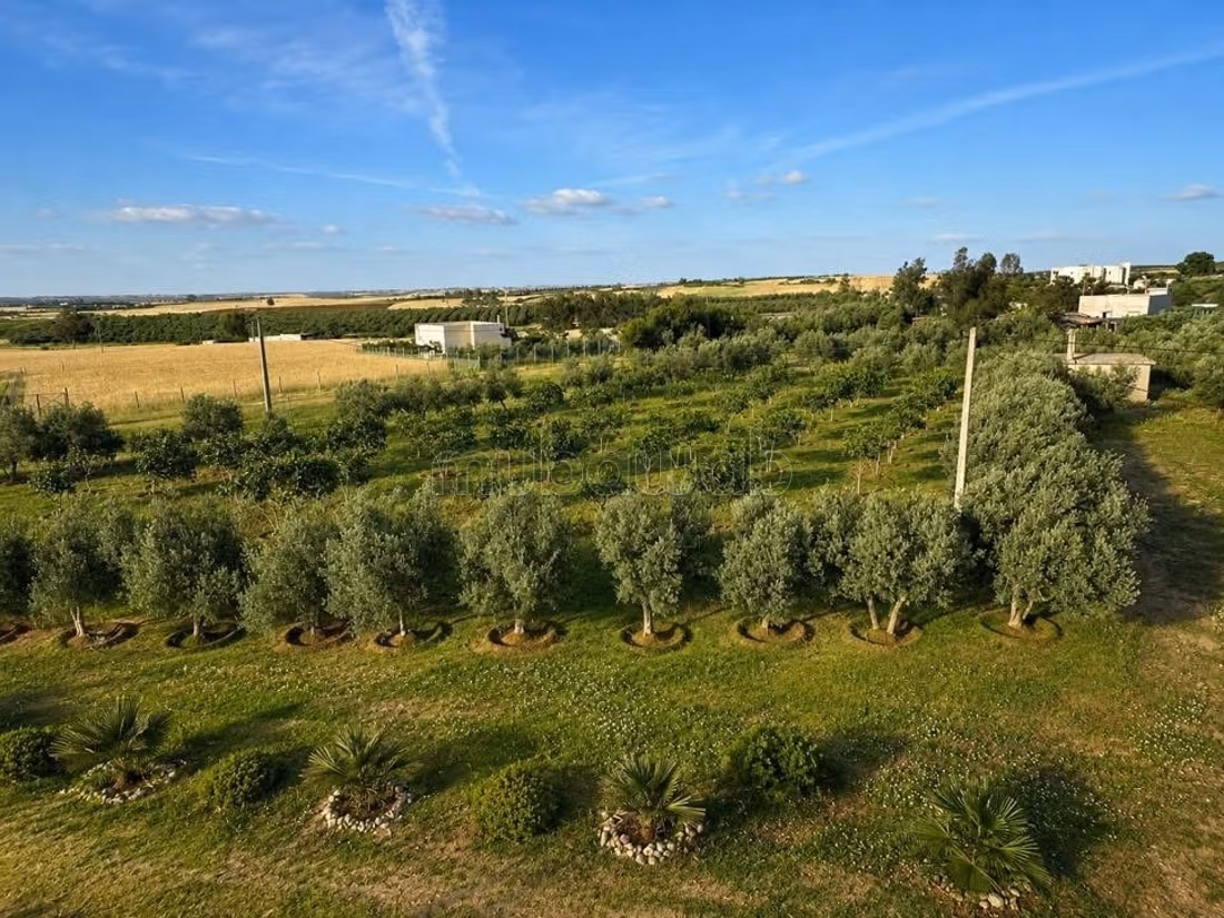 Titelboerderij 1 UUR VAN RABAT
