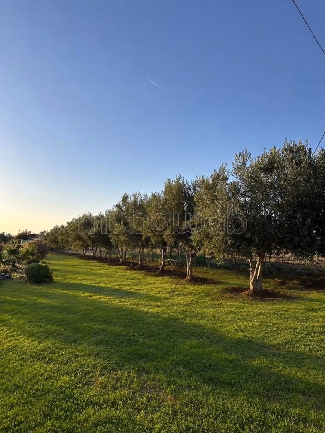Titelboerderij 1 UUR VAN RABAT