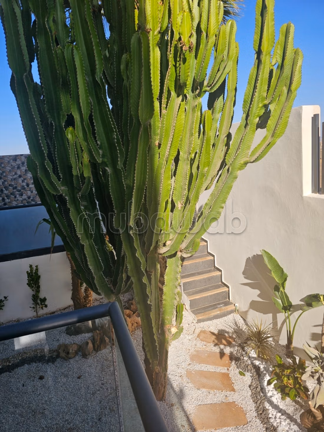 Luxe Villa Te Koop - TGCC Project, Palmbomen