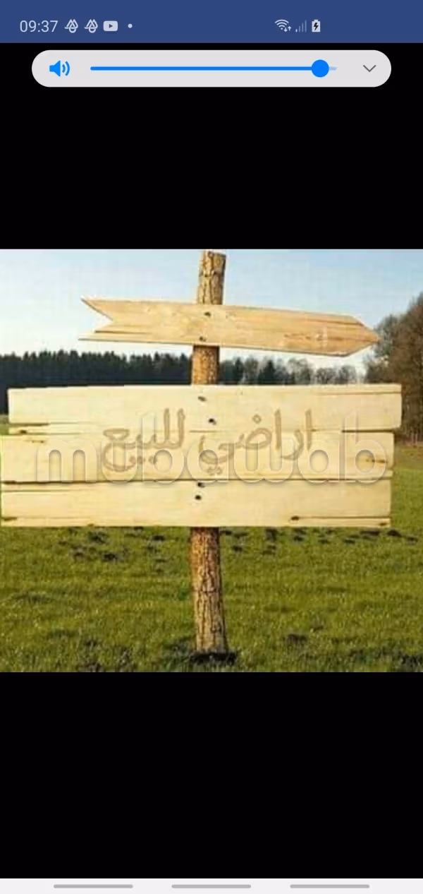 Land for sale in Read Toulal Total area 262 m²