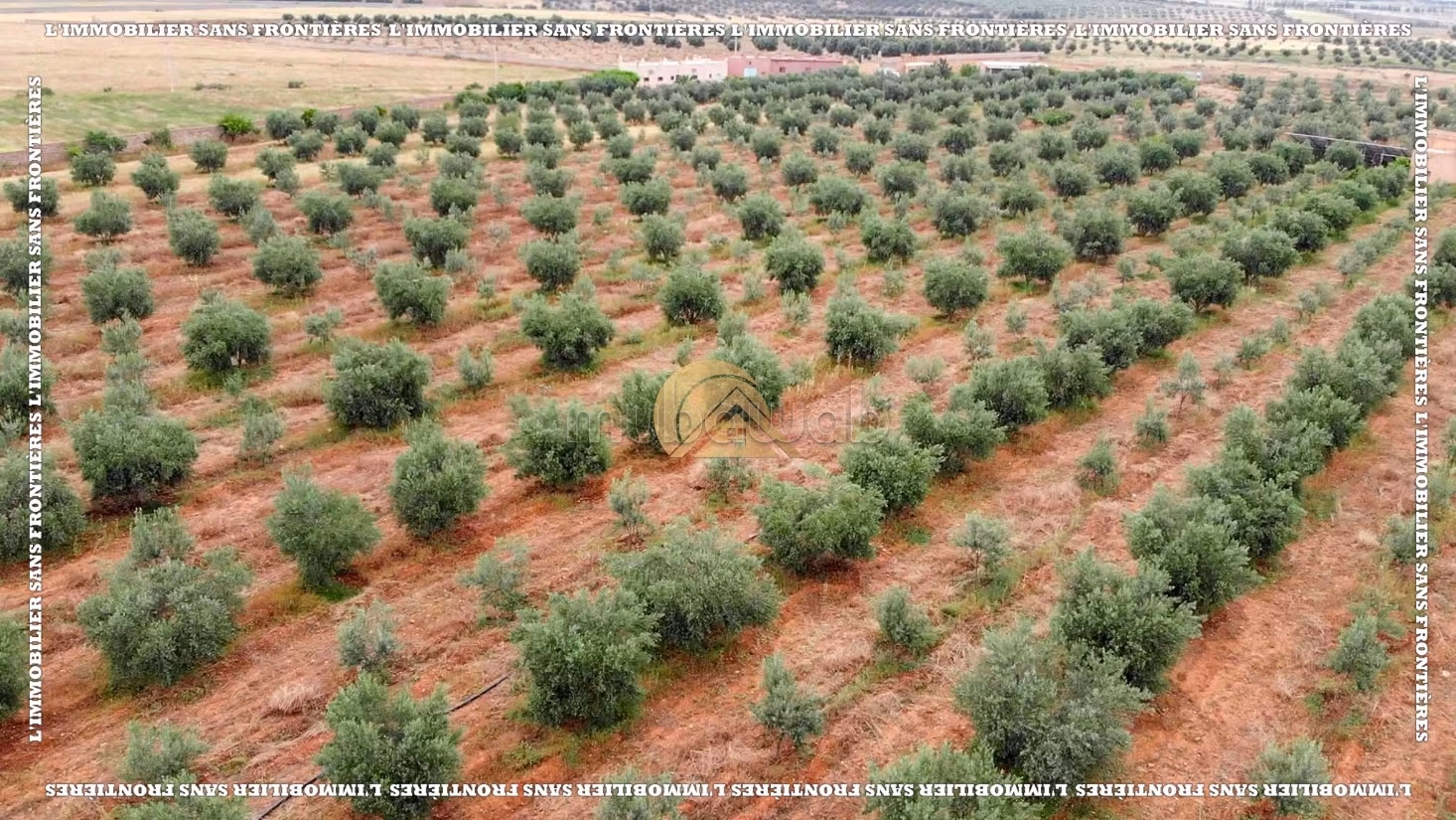 Fattoria in vendita sulla strada per Amizmiz Km 48, Marrakech — 39363 m²