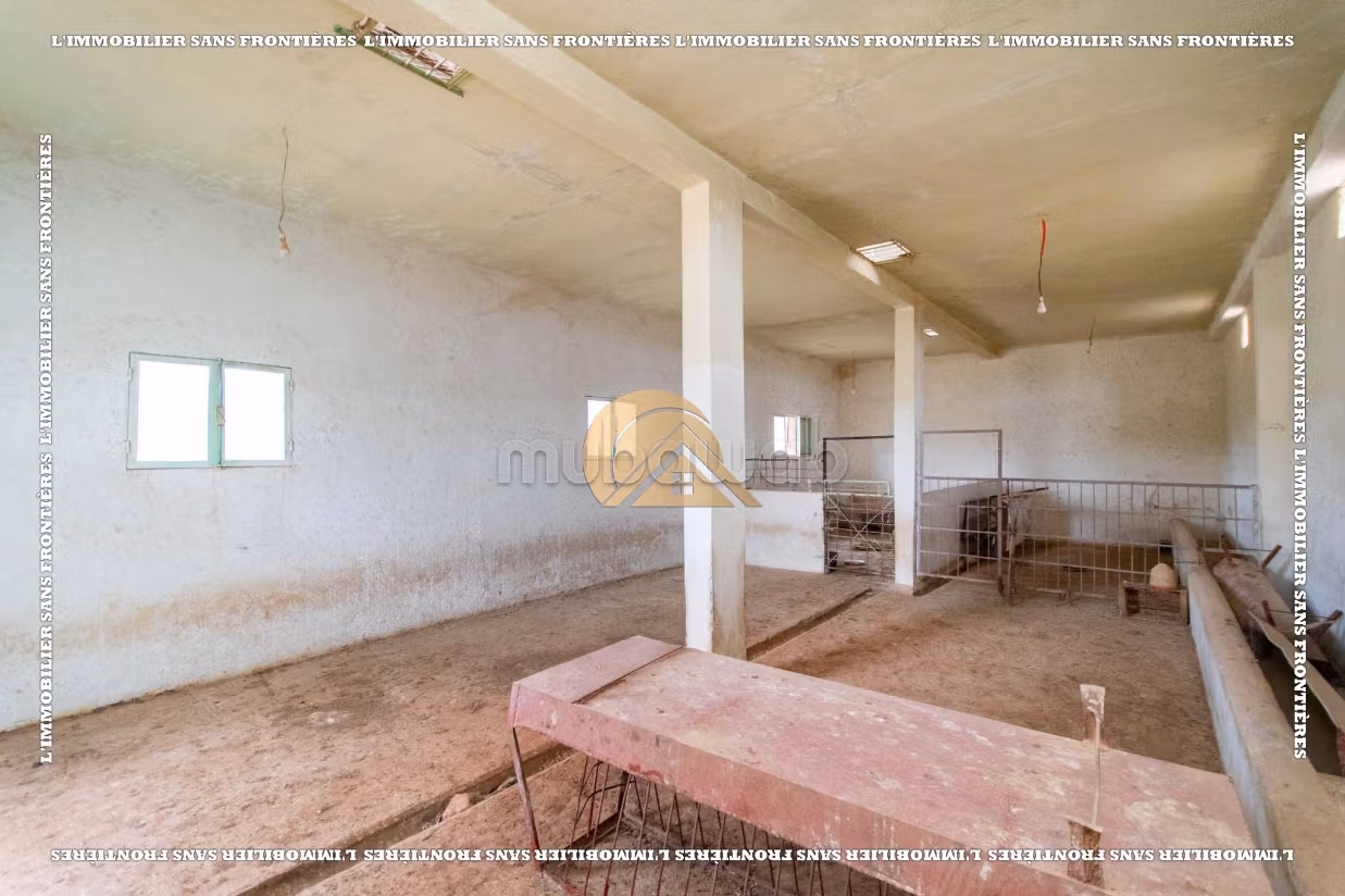 Fattoria in vendita sulla strada per Amizmiz Km 48, Marrakech — 39363 m²