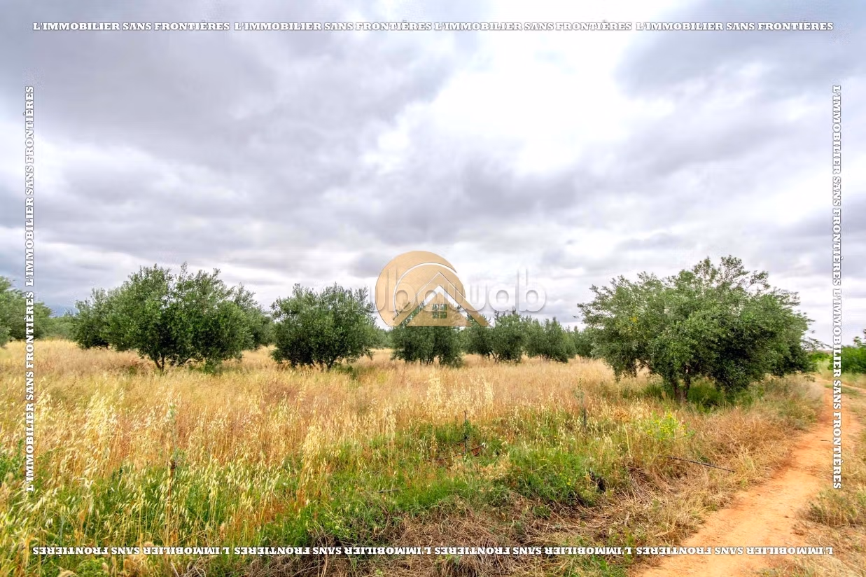 Fattoria in vendita sulla strada per Amizmiz Km 48, Marrakech — 39363 m²