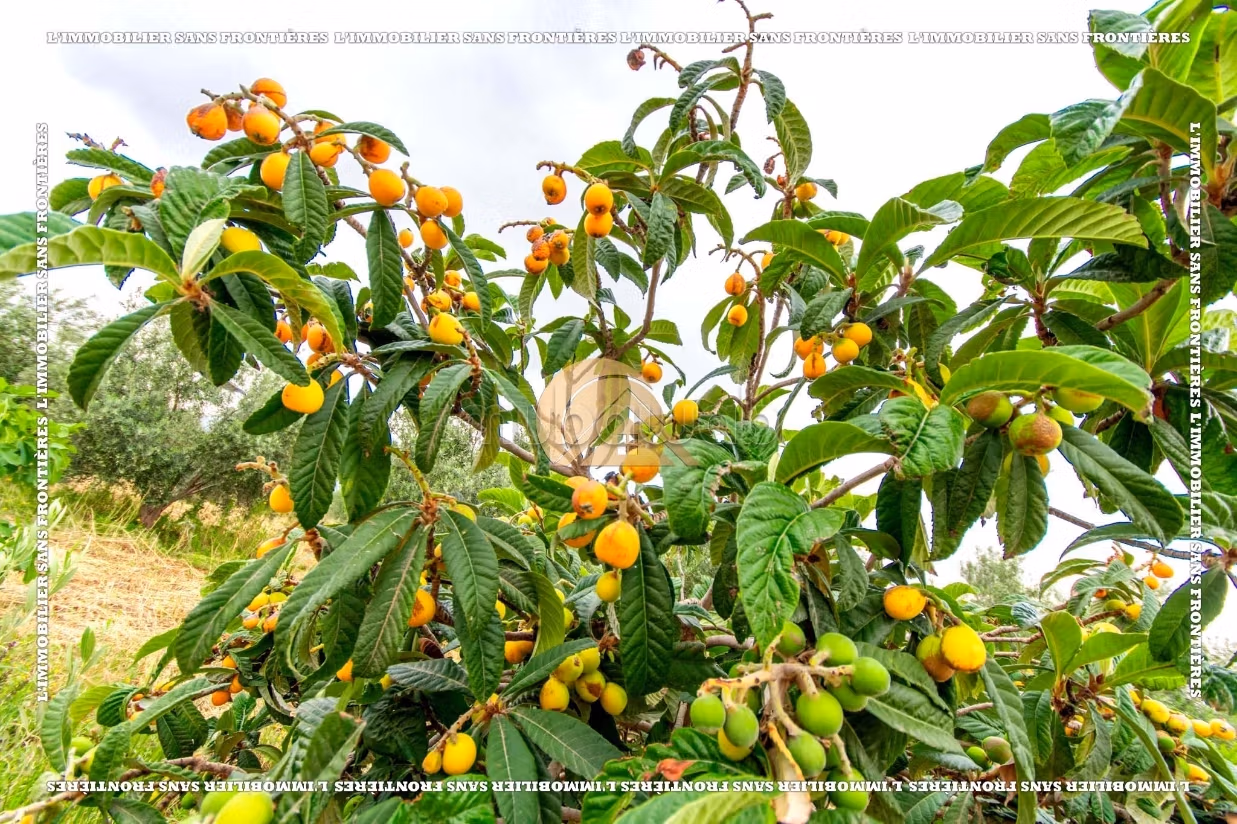 Fattoria in vendita sulla strada per Amizmiz Km 48, Marrakech — 39363 m²