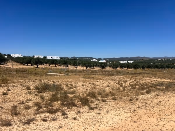 Un'opportunità a Hammamet Sud