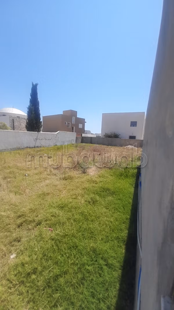 Terrain a hammamet besbasia a vendre